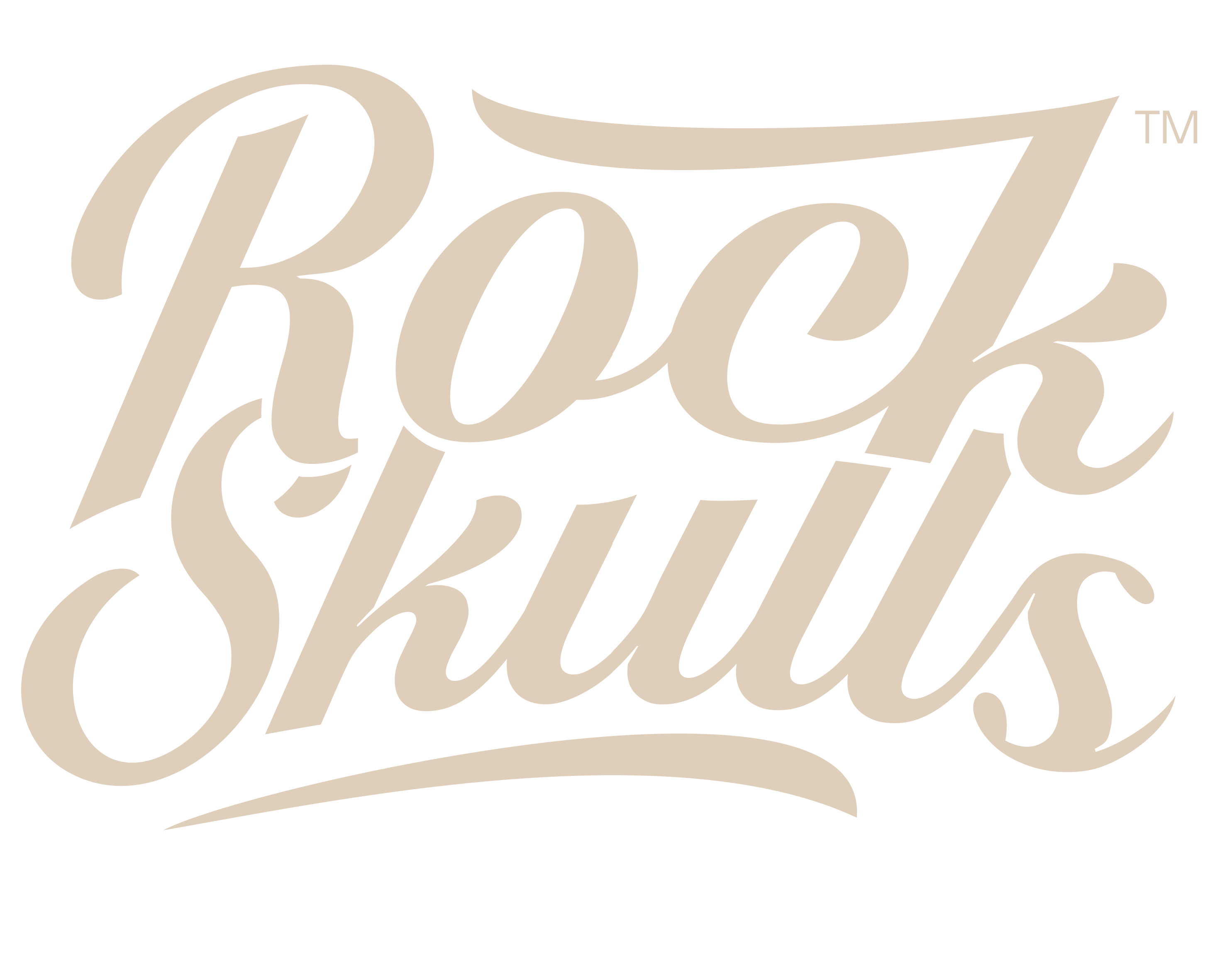 logo_RockSkulls_clothing_distro-authentic_indonesia